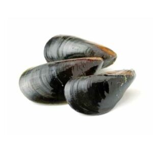 MEJILLONES ENTEROS JUGOZON X250GR
