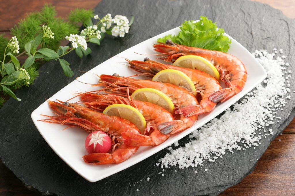 shrimp, nature, seafood, ocean