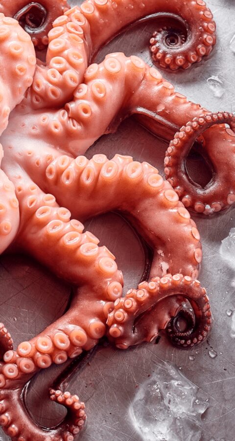 Pulpo y platos navideños