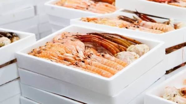 Mariscos conservados y preparados para su congelación